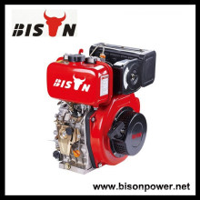 BISON (CHINA) Motor Motor diesel Motor de 4 tempos Motor diesel 200cc Motor de arranque